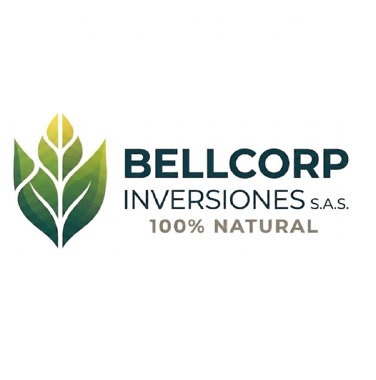 INVERSIONES BELLCORP S.A.S.